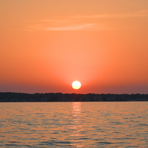Orange sunset over calm water with distant tree line.