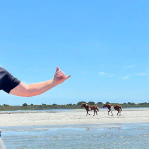 Man in sunglasses on beach gestures, horses in background.