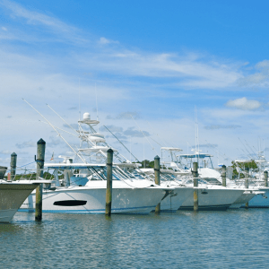 Boats docked at a marina on a sunny day with a blue sky.