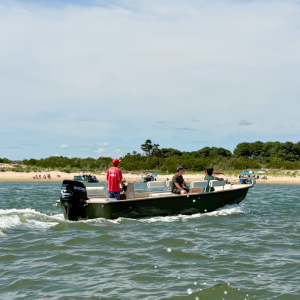 Small motorboat with two people near a sandy shore.