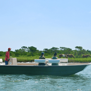 Boat with three people on water, wild horses grazing on distant shore.