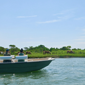 Two boats on water near grassy island with wild horses.