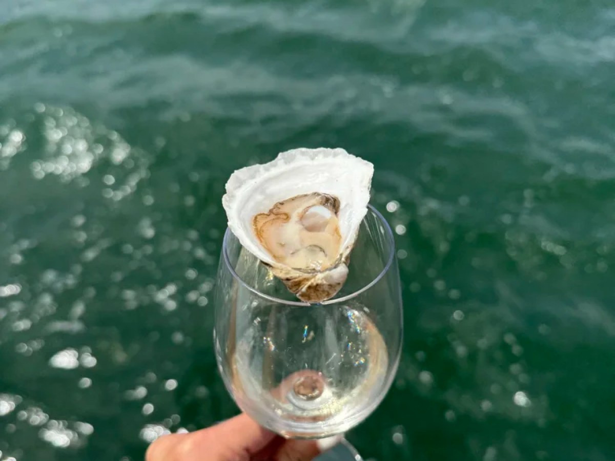 Hand holding wine glass with an oyster shell by the sea.